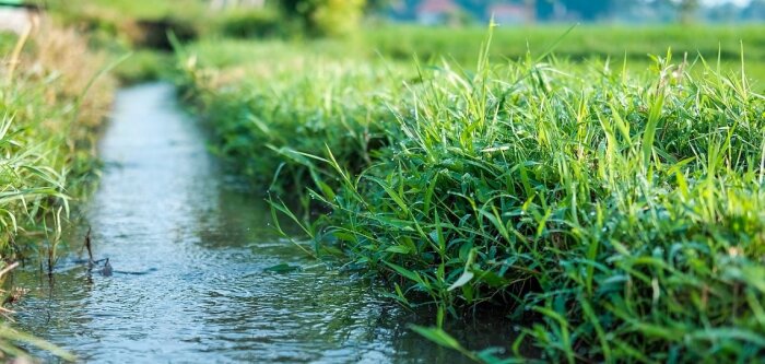 Agriculture décarbonée : « Urgent de faire un choix de société dès aujourd’hui » (The Shift Project)