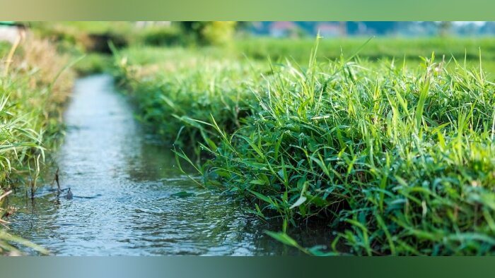 Eau : 3,1 Md€ d’aides pour le 12e programme 2025-2030 de l’agence de l’eau Rhône Méditerranée Corse