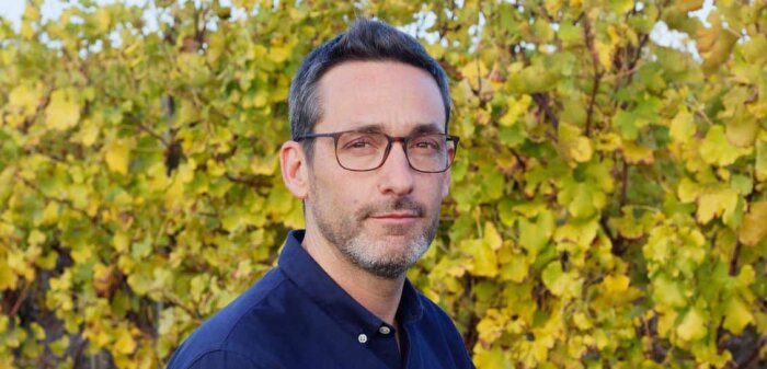 Mildiou, « la reproduction sexuée est une piste pour des alternatives aux pesticides »