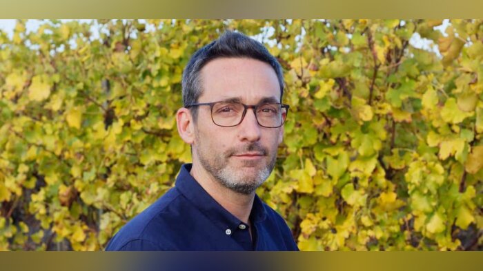 Mildiou, « la reproduction sexuée est une piste pour des alternatives aux pesticides »