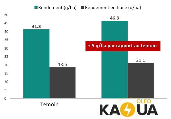 KAOUA : L’énergie libre et anti-stress des cultures - © D.R.