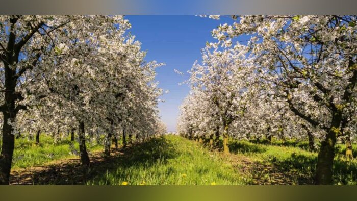 Agroécologie : fertilisation organique et biostimulation