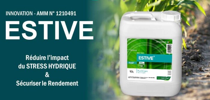 Estive, le thermorégulateur foliaire pour les grandes cultures