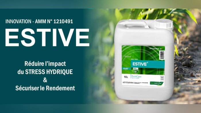 Estive, le thermorégulateur foliaire pour les grandes cultures