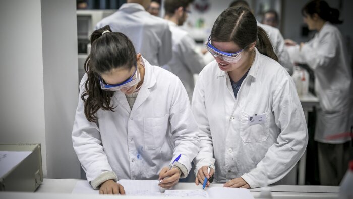 Les modalités de recrutement varient d’un organisme à l’autre en fonction de son statut. - © France Universités - Université de Haute-Alsace