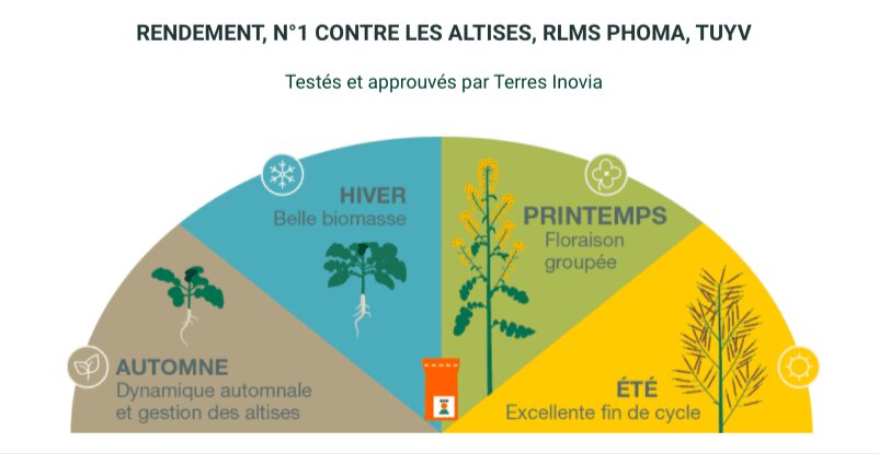 Misez sur la gamme COLZA360° pour des colzas robustes - © D.R.