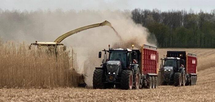 Les prix à la production des produits agricoles en baisse de 10,1 % sur la dernière année