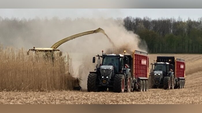 Les prix à la production des produits agricoles en baisse de 10,1 % sur la dernière année