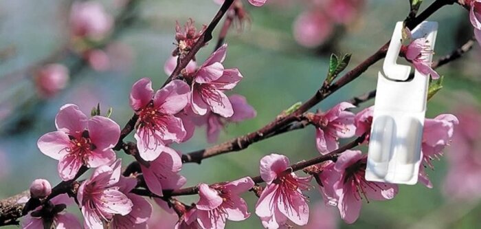 CEPP, taux de couverture des obligations de 30,6 % en 2021