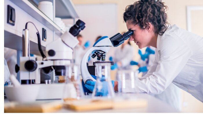 L’Université de Rennes 2 a travaillé durant un an à l’élaboration du guide. - © Canva