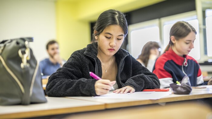 Une personne sur six est concernée par un trouble du neurodéveloppement. - © France Universités - Université de Haute-Alsace