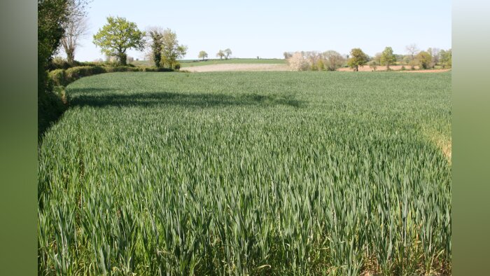 Adjuvants, une fréquence d’usage toujours croissante