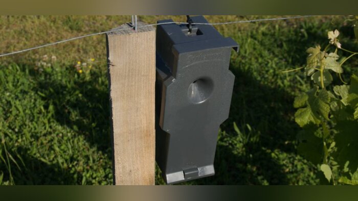 CheckMate Puffer, la protection est lancée pour contrôler les tordeuses de la grappe
