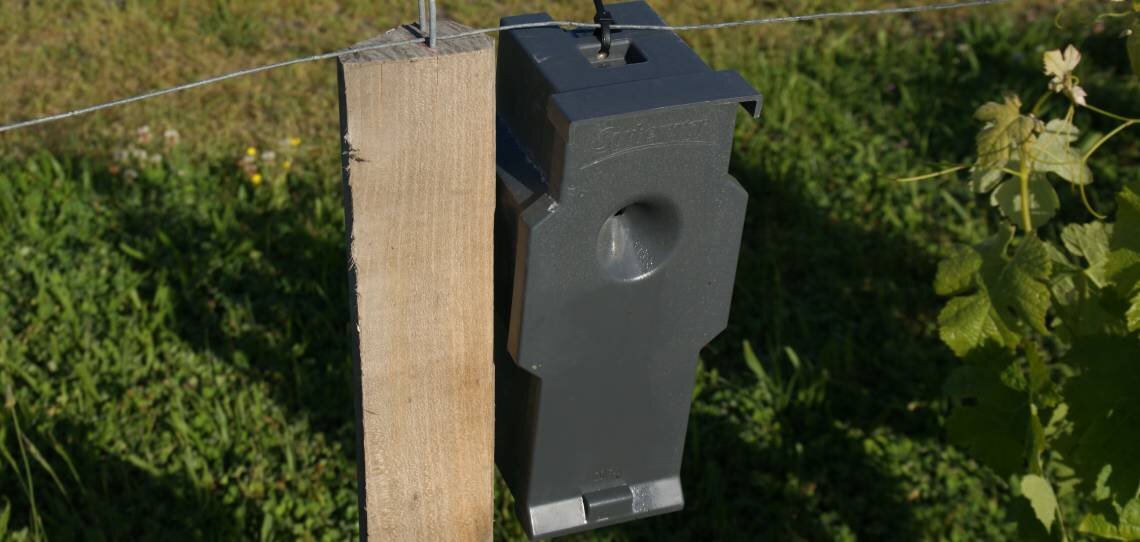 CheckMate Puffer, la protection est lancée pour contrôler les tordeuses de la grappe - © D.R.