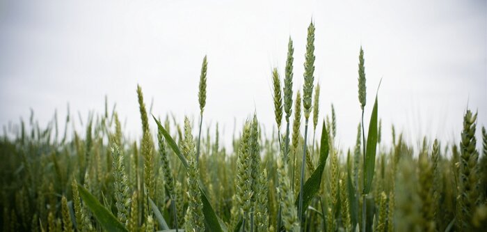 Agriculture bio : la clôture du guichet de dépôt des demandes d’aide repoussée au 3 mai