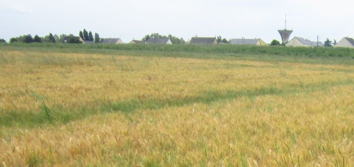 ZNT, une aide de 30 M€ pour investir dans du matériel