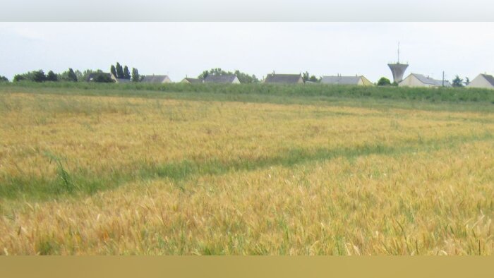 ZNT, une aide de 30 M€ pour investir dans du matériel