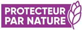 Un fongicide blé d’origine naturelle pour protéger les céréales - © D.R.