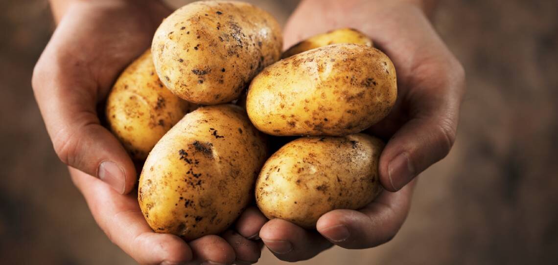 Baisse de l’IFT fongicide en pommes de terre et maintien des rendements grâce aux adjuvants - © D.R.