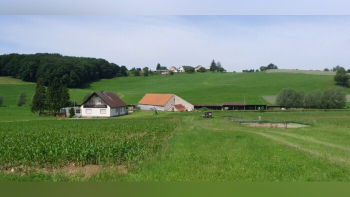 Moins de cancers chez les agriculteurs, mais six retrouvés plus fréquemment