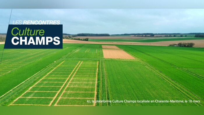 Plateformes Les rencontres Culture Champs : Innover pour une agriculture durable et rémunératrice