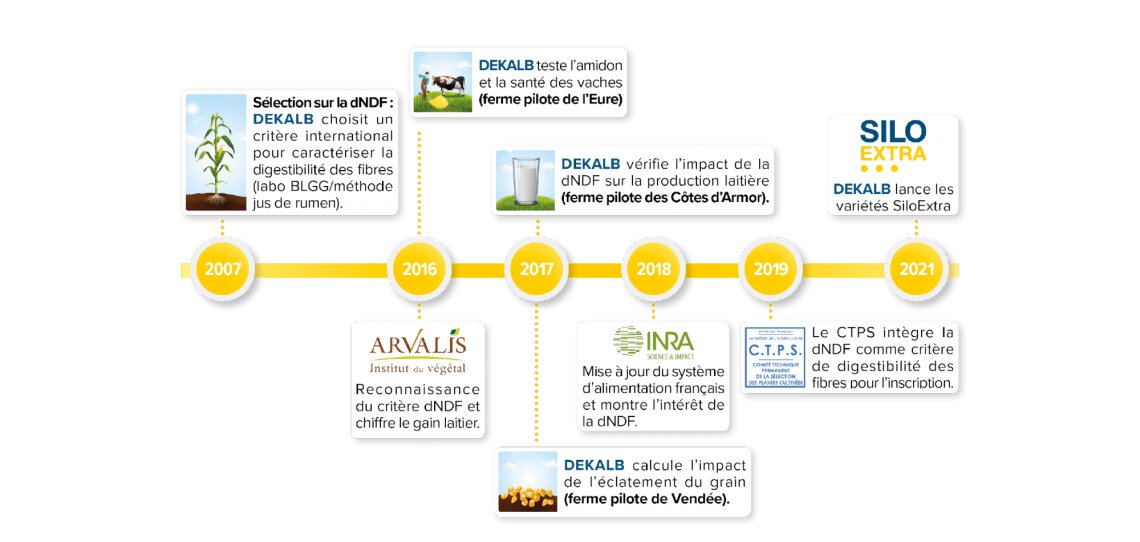 Maïs fourrages : quelles sont les attentes des éleveurs pour 2022 ? - © D.R.