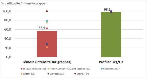 Mildiou de la vigne, Profiler maintient son niveau d’efficacité - © D.R.
