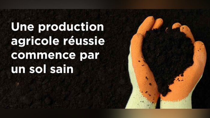Une approche intégrée pour améliorer la santé des sols et le rendement