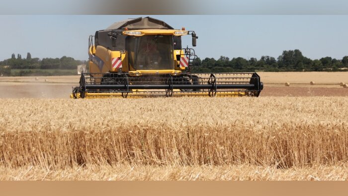 Moisson 2024 : une bonne qualité boulangère, une qualité semoulière dégradée, selon FranceAgriMer et Arvalis