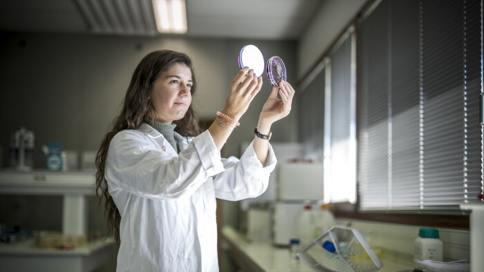 Les femmes représentent 37 % des chercheurs des 14 principaux organismes de recherche en France. - © CPU - Université de Haute-Alsace