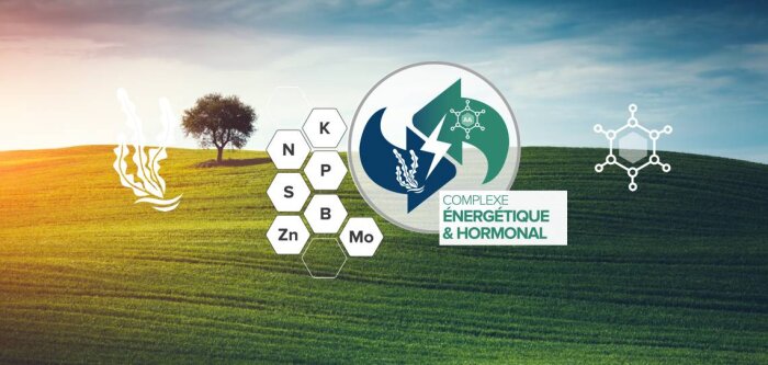 KAOUA : L’énergie libre et anti-stress des cultures