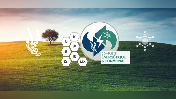 KAOUA : L’énergie libre et anti-stress des cultures