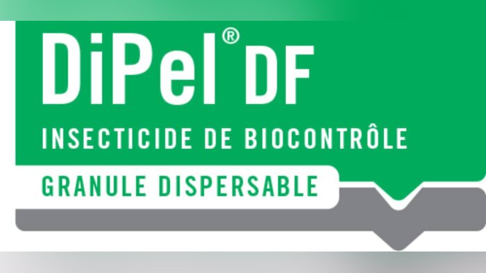 50 ans pour Dipel DF, pionnier du biocontrôle