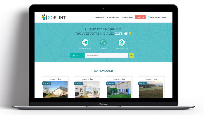 316 000 annonces sont recensés sur la plateforme GoFlint. - © D.R.