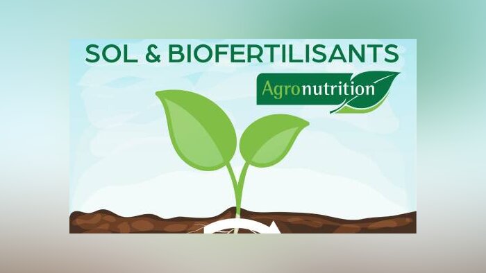 Utiliser la biologie du sol pour réduire l’impact environnemental