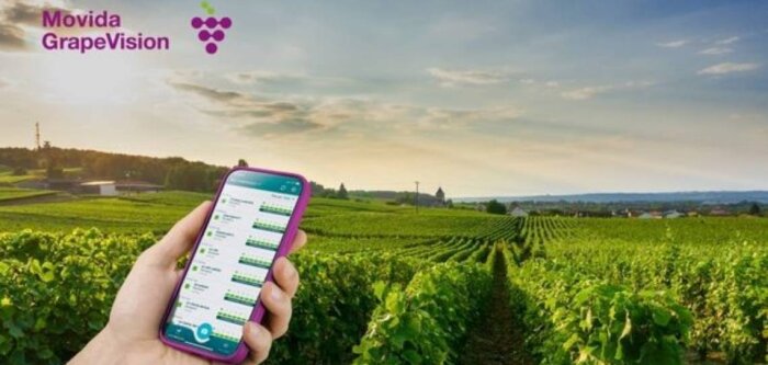 L’outil d’aide à la décision Movida GrapeVision pilote toute la protection fongicide de la vigne