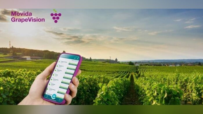 L’outil d’aide à la décision Movida GrapeVision pilote toute la protection fongicide de la vigne