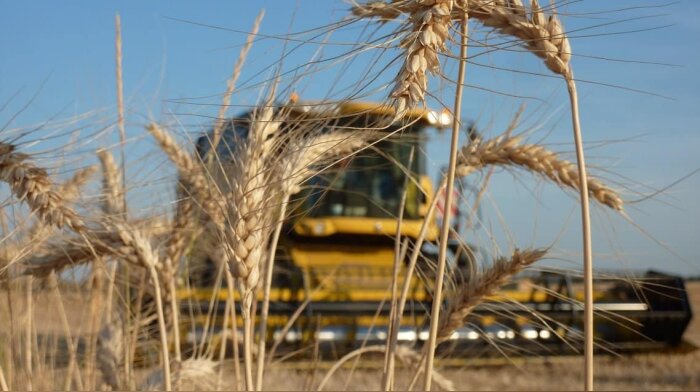 Moissons, tout devrait enfin s’accélérer