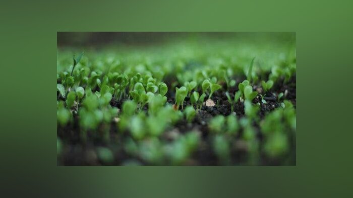 Les produits bio ne sont pas exempts de résidus phytos