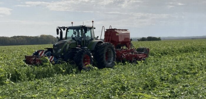 Soufflet Agriculture retenu pour financer les émissions du Festival de Cannes