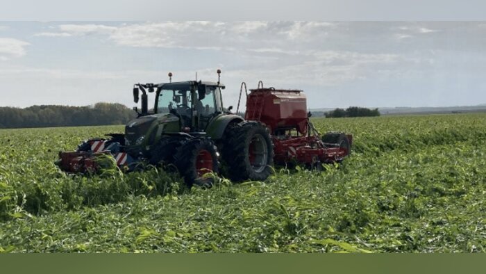 Soufflet Agriculture retenu pour financer les émissions du Festival de Cannes