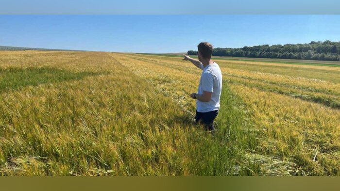 SECOBRA Recherches positionné sur tous les fronts de l’orge de brasserie