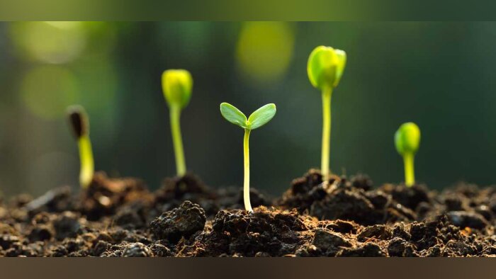 L’engrais liquide INSEVE de Timac Agro France, la fertirrigation haute performance