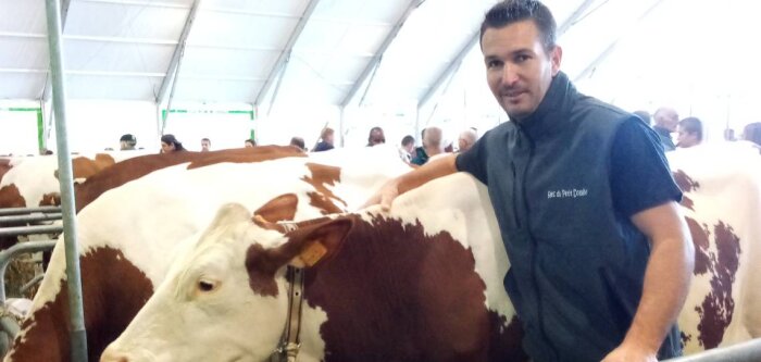 HDI : le maïs hautement digestible pour une ration agronomique