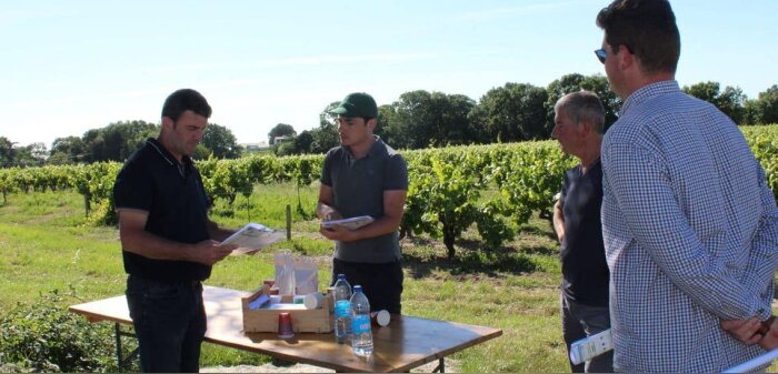 La CAMN mise sur les solutions naturelles pour réduire les phytos en vigne