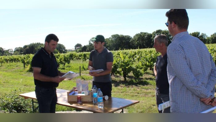 La CAMN mise sur les solutions naturelles pour réduire les phytos en vigne
