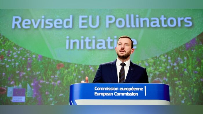 Pollinisateurs, la Commission européenne renforce le cadre d’action