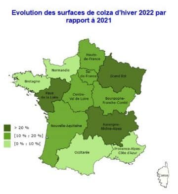 Recul des surfaces de blé tendre, hausse pour l’orge et le colza - © D.R.