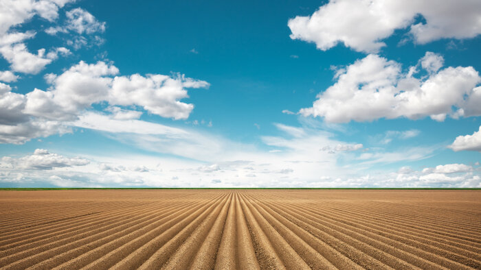 Phytos/semences : retrouver un horizon