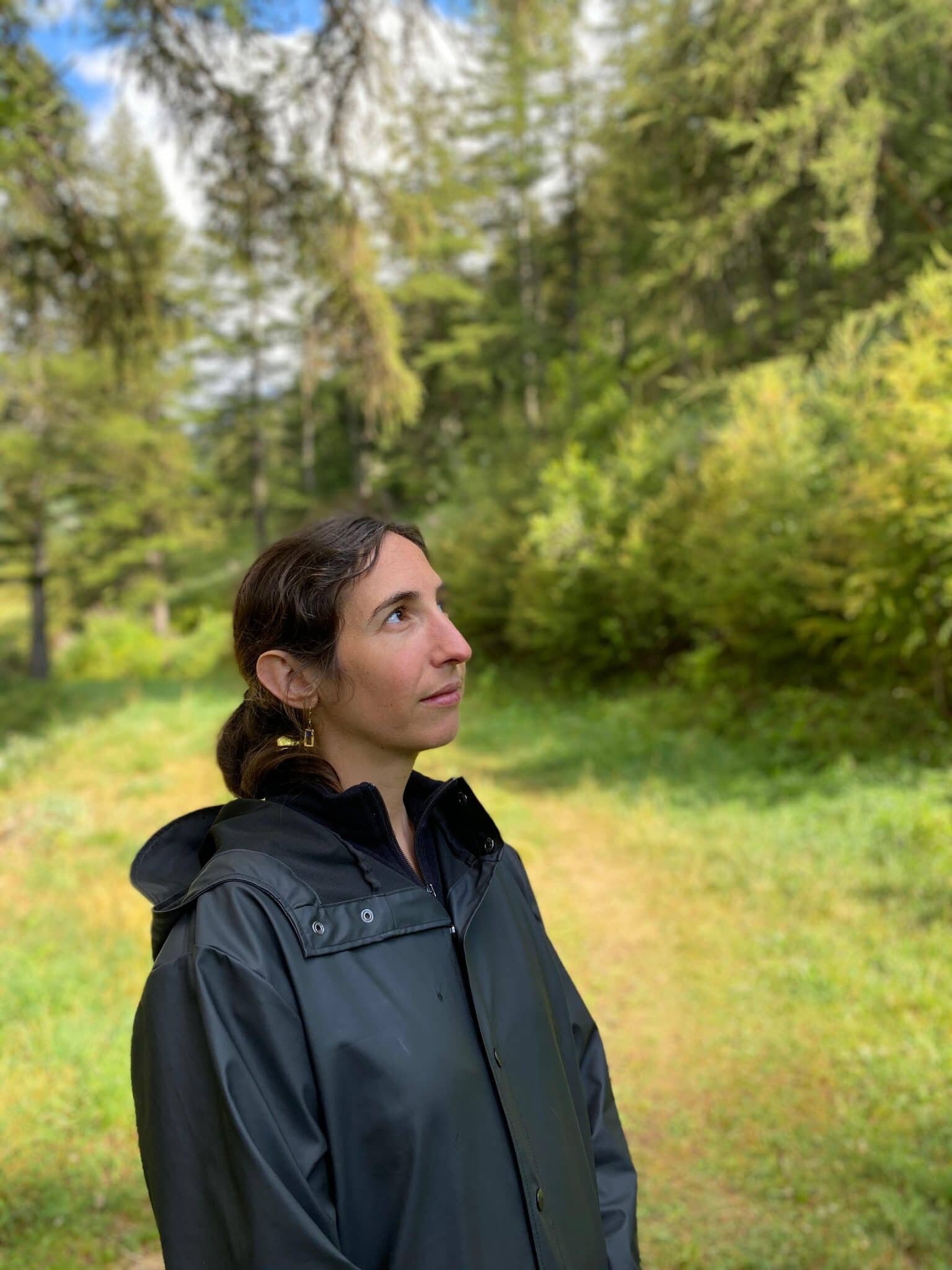 Plan de relance et agroforesterie, « un tournant historique » - © D.R.